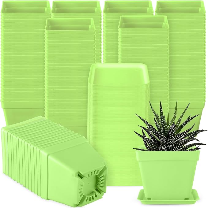 Amyhill 100 Pcs 4 Inch Flower Pots Square Plants Nursery Pot Plastic Plant Seedling Pots Small Nursery Transplanting Planter Container with Saucer for Indoor Succulent Balcony Garden (Green)