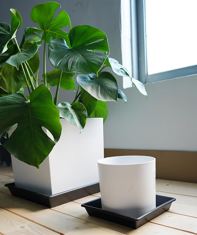 Square Plant Saucer 8 Inch 2 Pack 6 8 10 12 14 16 18 20 Inch, Plant Trays for Pots Heavy Duty Plastic Plant Saucers for Indoors Outdoors, Flower Pot No Holes Plant Drip Trays