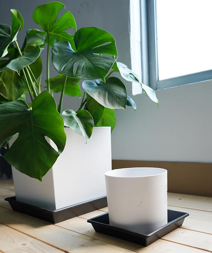 NIMYAU Square Plant Saucer 5 Pack 8 10 12 14 16 18 20 Inch, Flower Pot No Holes Plant Drip Trays, Plant Trays for Pots Heavy Duty Plastic Plant Saucers for Indoors Outdoors
