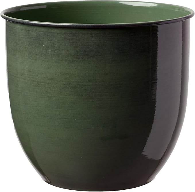 Bloem Canyon 14" Indoor Metal Cachepot - Glossy Decorative Planter with Powder-Coated Finish, Removable Drain Plug, Basil