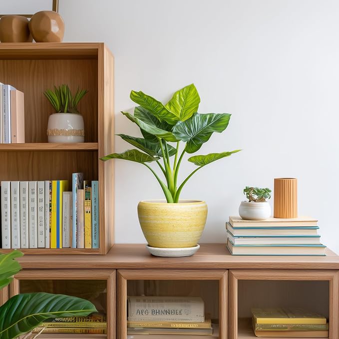 Ceramic Planter - 6 Inch Plant Pots for Indoor Outdoor Plants, Modern Indoor Flower Pots with Drainage Hole and Saucer, Round Planter, Bathroom Decor, House Warming Gifts, Textured Yellow