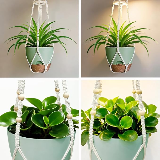 Hanging Planters for Indoor Plants: 2 Pack Macrame Plant Hangers with Grow Lights and Self-Watering Pots, Large Hanging Pots with Drainage Holes & Removable Tray（10in Green Pot, Daylight Spectrum）