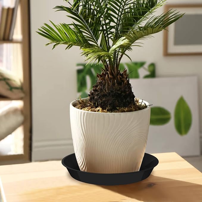 6 Pack Plant Saucer 12 14 16 18 20 22 Inch Plastic Plant Tray, Sturdy and Durable Flower Pot Container Accessories Plant Pot Saucers for Indoor and Outdoor (20 Inch, Black)