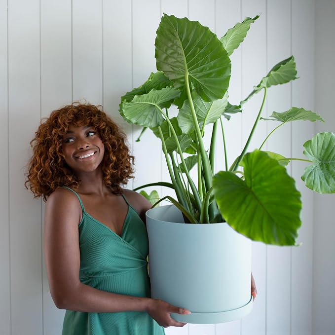 Bloem Mathers Round Planter with Saucer Tray: 12" - Misty Blue - Modern Design, Durable Plastic Pot, Removable Saucer, for Indoor & Outdoor Use, Gardening, 5.8 Gallon Capacity
