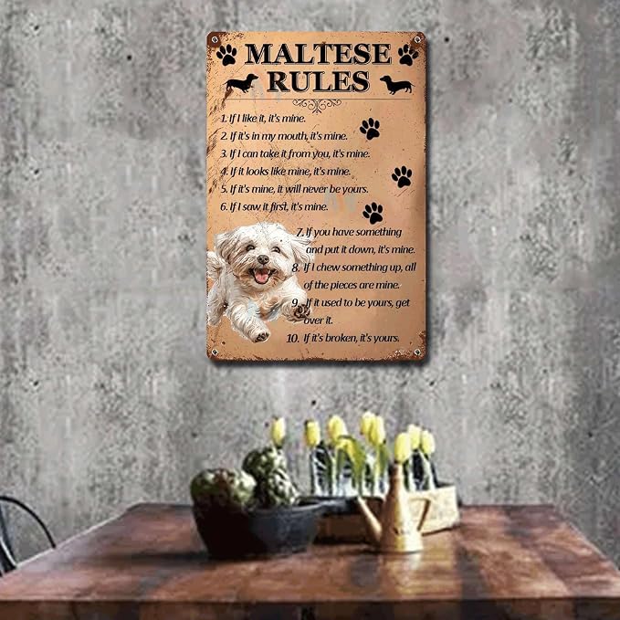 Metal Sign Tin Sign Vintage Wall Art Maltese Rules Minimalist Wall Art for Club 8×12 Inches