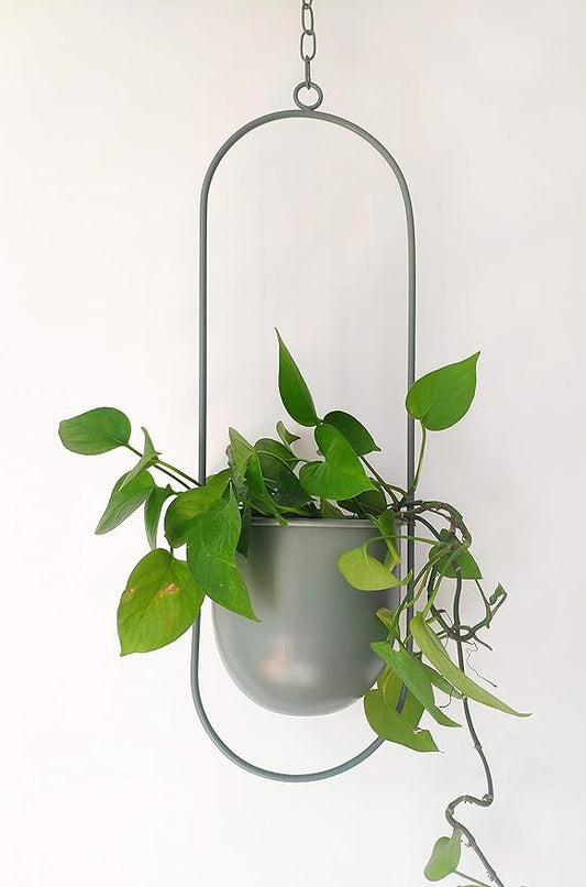 RISEON Boho Green Metal Plant Hanger,Metal Wall and Ceiling Hanging Planter, Modern Planter, Mid Century Flower Pot Plant Holder, Minimalist Planter for Indoor Outdoor Home Decor