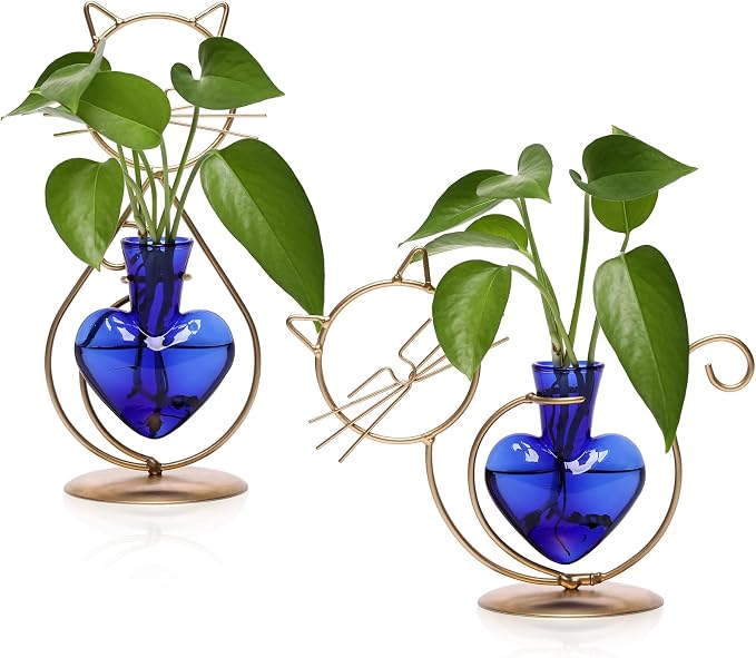 Plant Terrarium Plant Propagation Station Cat Lover Gifts for Women | Plant Lovers Home Office Decor Cat Desk Accessories