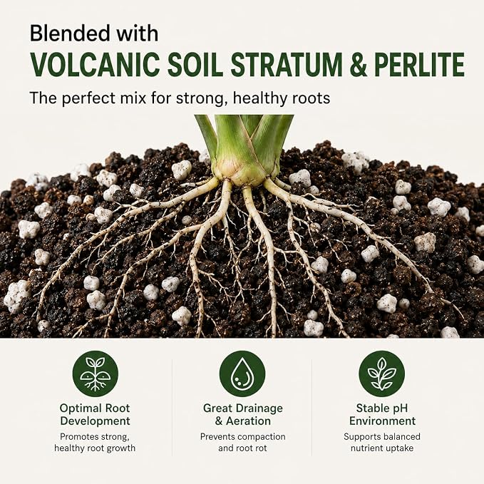 Tissue Culture Starter Kit, Self Watering Pots for Indoor Plants, TC Soil Kit with Volcanic Soil & Perlite, Clear Plant Pots with Drainage, TC Acclimation Kit, Potting Mix for Tissue Culture Plants