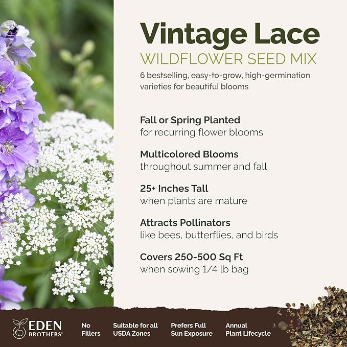 Eden Brothers Vintage Lace Flower Mixed Seeds for Planting, 1/4 lb, 120,000+ Seeds with Cosmos Gloria, Bishop's Flower, Snapdragon, Attracts Pollinators, Plant in Spring, Zones 3, 4, 5, 6, 7, 8, 9, 10