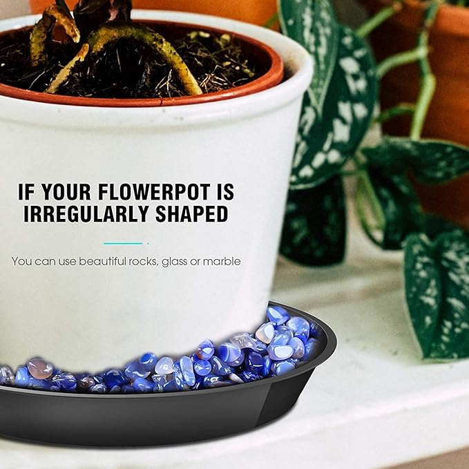 6 Pack Plant Saucer 12 14 16 18 20 22 Inch Plastic Plant Tray, Sturdy and Durable Flower Pot Container Accessories Plant Pot Saucers for Indoor and Outdoor (22 Inch, Black)