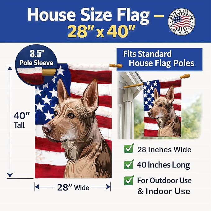 Caroline's Treasures CK6736CHF Telomian American Flag House Flag Large Porch Sleeve Pole Decorative Outside Yard Banner Artwork Wall Hanging, Polyester, House Size, Multicolor