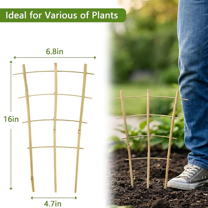 16Inch 5Pack Bamboo Trellis for Climbing Plants, Garden Ladder Trellis for Potted Plants Indoor, Fan Shaped Small Plant Support Trellis for HousePlants Ivy Vine Monstera 3-4