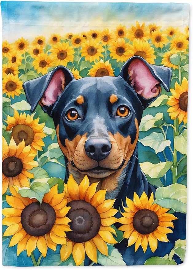 Caroline's Treasures DAC6119CHF Manchester Terrier in Sunflowers House Flag Large Porch Sleeve Pole Decorative Outside Yard Banner Artwork Wall Hanging, Polyester, House Size, Multicolor