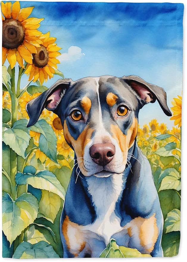 Caroline's Treasures DAC6046CHF Catahoula in Sunflowers House Flag Large Porch Sleeve Pole Decorative Outside Yard Banner Artwork Wall Hanging, Polyester, House Size, Multicolor