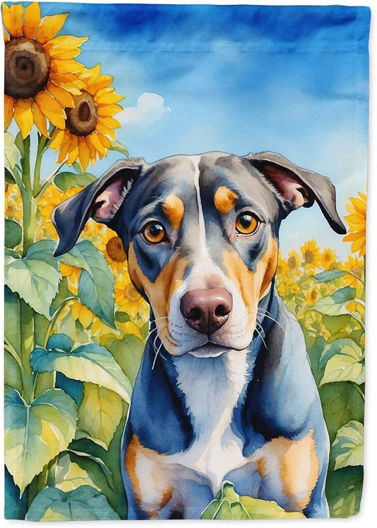 Caroline's Treasures DAC6046CHF Catahoula in Sunflowers House Flag Large Porch Sleeve Pole Decorative Outside Yard Banner Artwork Wall Hanging, Polyester, House Size, Multicolor