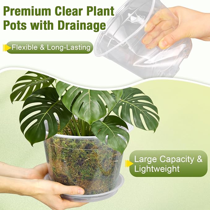 6 Inch Clear Nursery Pots with Drainage and Saucers, 15 Pack Large Clear Plastic Nursery Pots for Plants, Seedling Plant Pots for Repotting and Growing Plants, Flowers & Vegetables (6 inch)