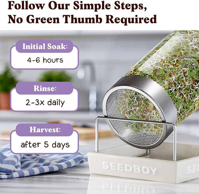 Seedboy Organic Non-GMO Alfalfa Seeds for Sprouting - Microgreens Sprouting Seeds - 8 oz Bag Makes 8 Quarts / 32 Servings (Alfalfa)