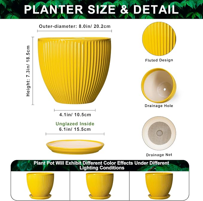 8 Inch Pots for Plants, Ceramic Plant Pots for Indoor Plants, Round Ceramic Planter with Drainage Hole and Saucer, Modern Decorative Plant Pot, Home Kitchen Decor, Women Men Gifts, Yellow