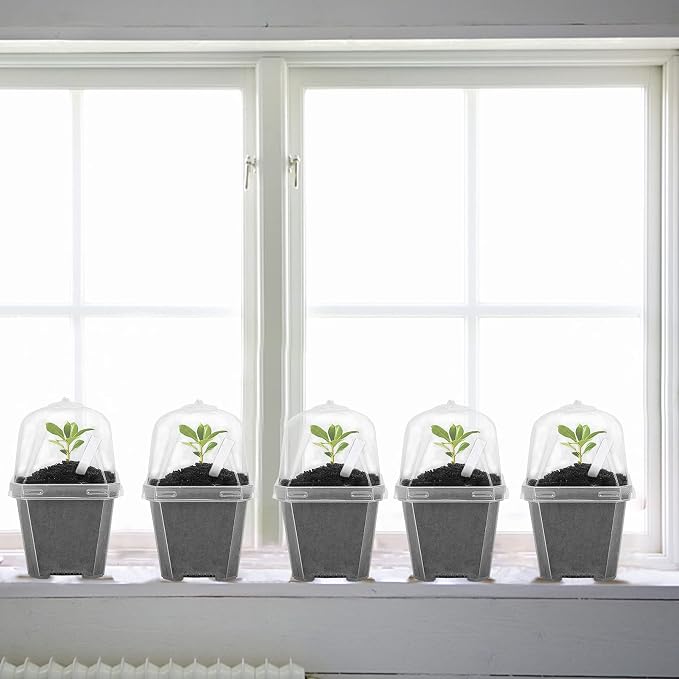 EBaokuup 30PCS Clear Plant Nursery Pots with Humidity Dome - 3" Durable Plastic Gardening Pot, Small Plant Container for Seedlings/Vegetables/Succulents/Cuttings
