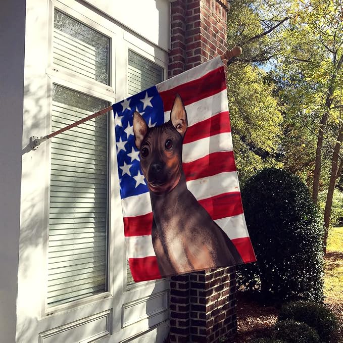 Caroline's Treasures CK6400CHF American Hairless Terrier American Flag House Flag Large Porch Sleeve Pole Decorative Outside Yard Banner Artwork Wall Hanging, Polyester, House Size, Multicolor
