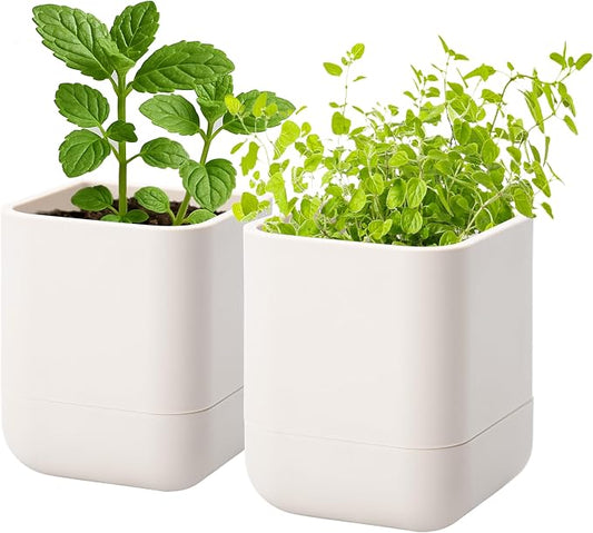 Phoenix Vine 3.5 Inch Wall Mounted Self-Watering Planter Pot for Indoor Houseplants and Herbs | Hanging Planter for Window Sills, Bathroom Walls, Home & Office Décor, Oatmeal, Set of 2, 01-A-G-2