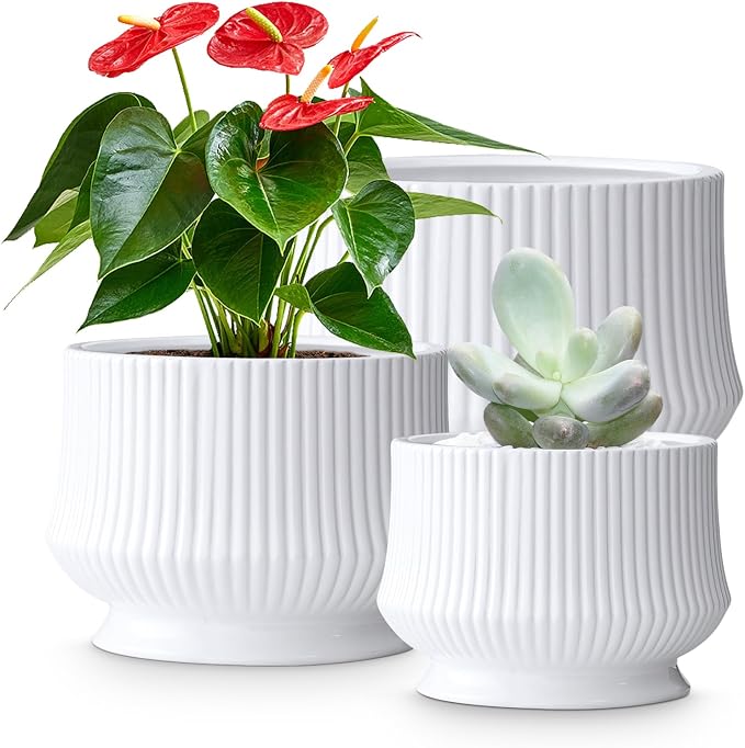 OXART Ceramic Plant Pots Indoor Pot Set with Drainage Holes, 10+8+6 inch Ceramic Planters Pots for Plants, Home Garden Large Flower Pot for Plants Herbs Cactus Orchid, White