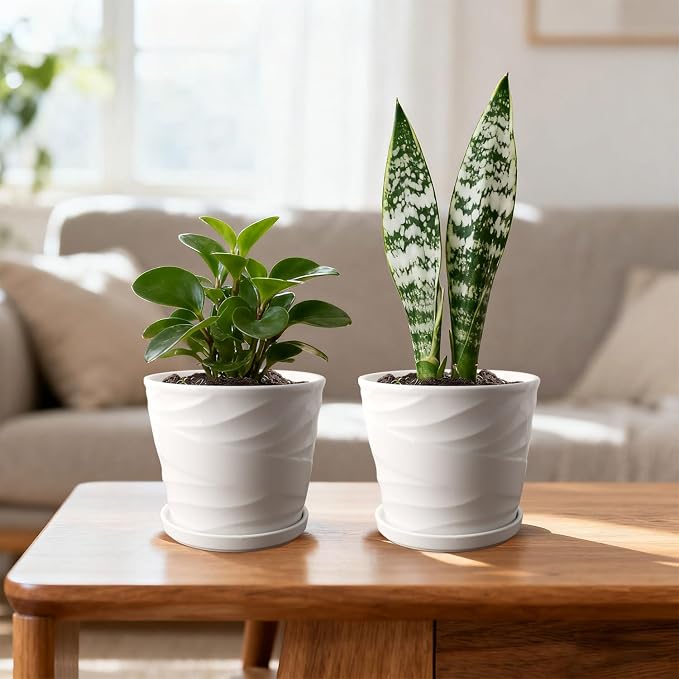 6 Inch Plant Pot,Ceramic Planter with Drainage and Saucer,Ceramic Pots for Plants,Planters for Indoor Plants,Ceramic Flower Pots(6.7 in Diameter)