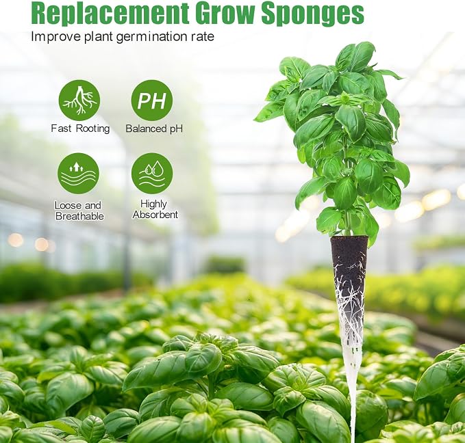 Grow Sponges, 60 Pack Herb Hydroponics Seed Pods Replacement Growing Media Fast Rooter for AeroGarden, iDoo, Ahopegarden Come with Varity Seeds of Basil, Cilantro & Parsley
