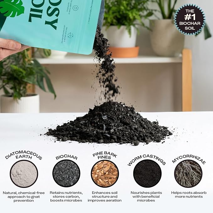 Rosy Soil Houseplant Potting Soil, Organic Indoor Potting Mix, 4 Quarts | Biochar and Worm Castings, For Monstera, Pothos, Tropical Indoor Plants, Peat Free