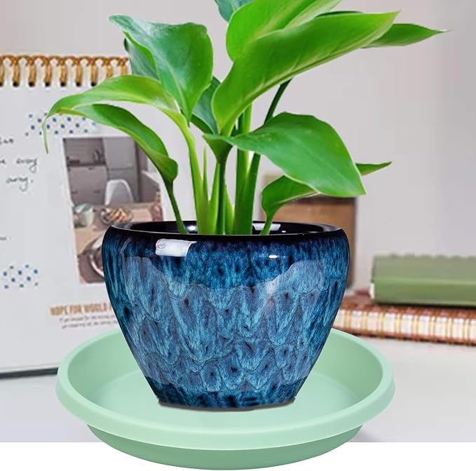 NIMYAU Plant Saucers Round 12 Inch Extra Large Pack of 5 Heavy Duty Plastic Drip Trays for Large Pots