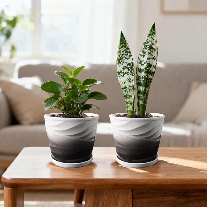 Ceramic Plant Pots,6 Inch,Set of 2,Planters with Drainage Hole and Saucer,Flower pots for Indoor Plants,Modern Design(6.7 in Diameter)