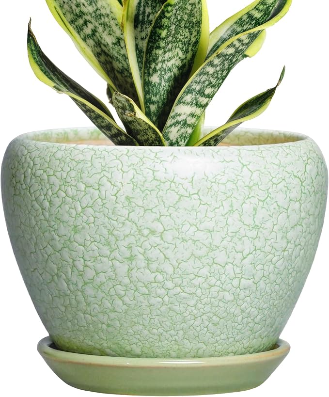 Ceramic Flower Pot, 6 Inch, Crackle Light Green | Drainage Hole and Saucer, Modern, Round Indoor Planter, For Indoor Succulent Plants