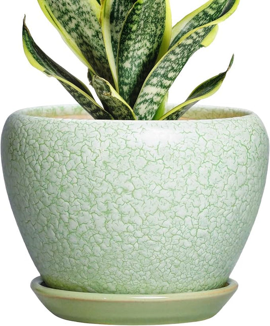 Ceramic Flower Pot, 6 Inch, Crackle Light Green | Drainage Hole and Saucer, Modern, Round Indoor Planter, For Indoor Succulent Plants