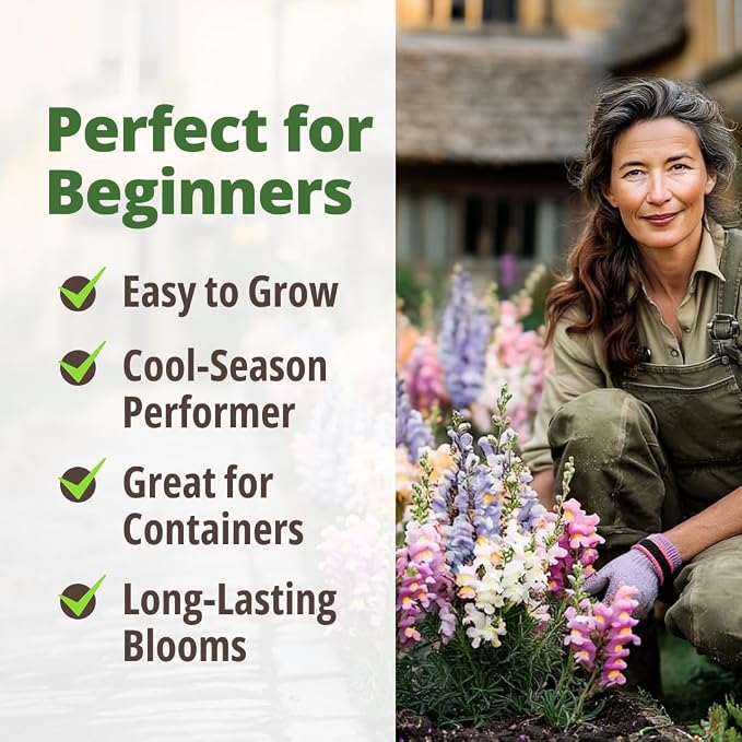 HOME GROWN Snapdragon Fairy Seeds – 10000 Snapdragon Seeds for Spring Planting 2026, Dwarf Plants, Long Blooming Flower Seed for Garden Beds, Pollinator Friendly (Antirrhinum Majus)