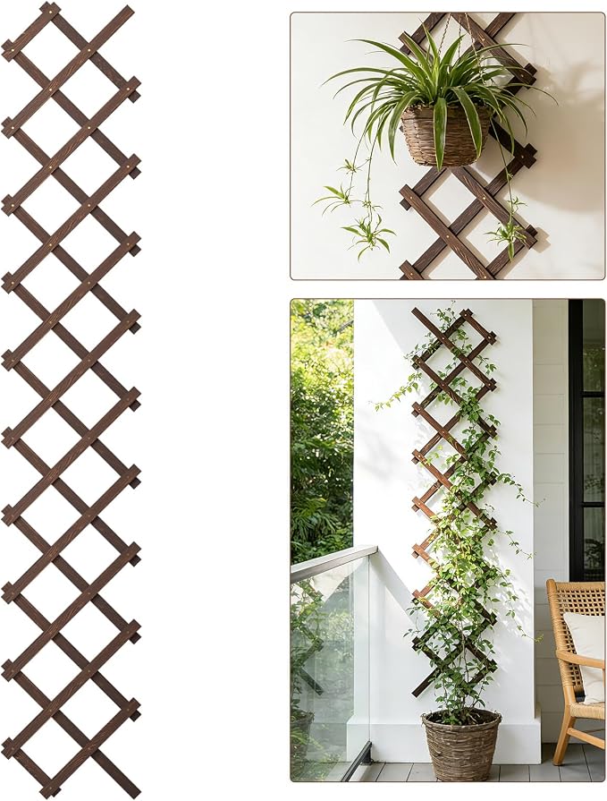 Expandable Wooden Lattice Panels Outdoor Garden Fence Trellis for Climbing Plants Roses Vines Cucumbers Weather Resistant Decorative Wood Privacy Fence (1, 13''x 68'')