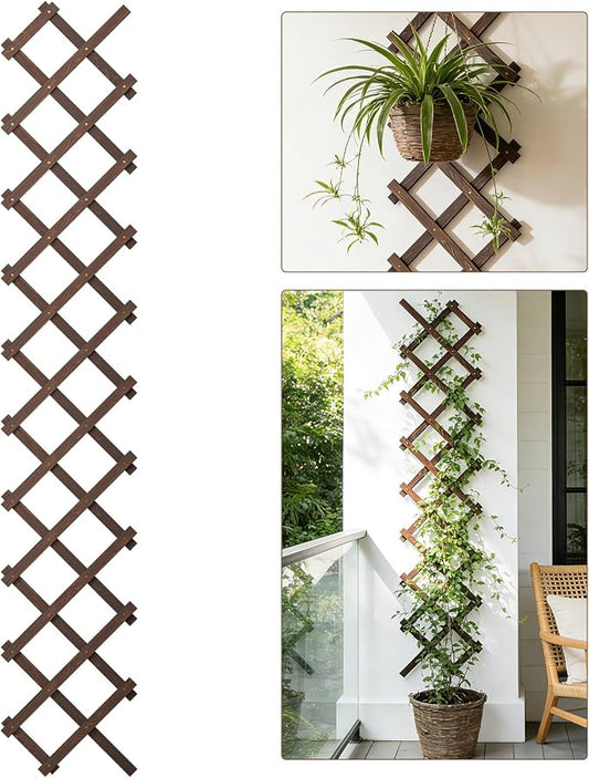 Expandable Wooden Lattice Panels Outdoor Garden Fence Trellis for Climbing Plants Roses Vines Cucumbers Weather Resistant Decorative Wood Privacy Fence (1, 13''x 68'')