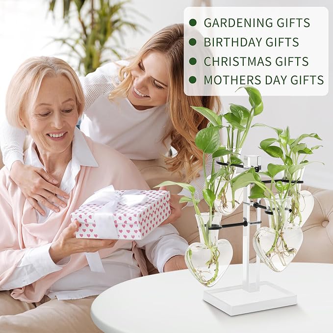 Plants Propagation Stations Plant Terrarium Kit Gift for Women | Birthday Glass Planters For Indoor Plants Home Office Decor Acrylic Plant Accessories - 4 Love Hear Vase