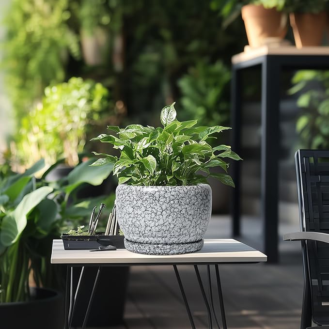SQOWL 8 inch Plant Pot - Ceramic Planter with Drainage Hole and Saucer, Round Flower Pot for Indoor Plants, Decorative Planter Outdoor, Patio Balcony Decor, House Warming Gifts, Black and White