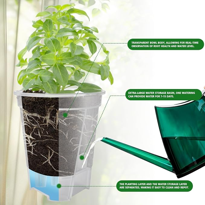 Cdd's Path Large Naked Root Planter Self Watering Pots Set with Holes for Indoor/Outdoor Plants, Planter Pot with Watering Hole/Reservior and Air Pipes (Clear, 8 inch-5 Pack)