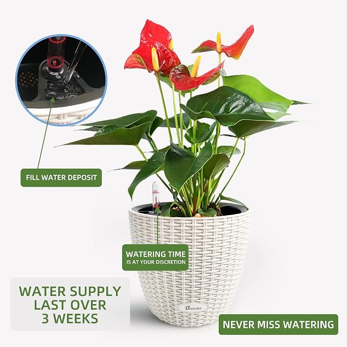 Dexceder 9x8 Inches Rattan Self Watering Planter Indoor Outdoor, Inner Pot Design, Thickened Table Flower Plant Pot with Water Level Indicator (Ivory White) | Inner Pot Design, Thickened Table Flower Plant Pot with Water Level Indicator Indoor Outdoor