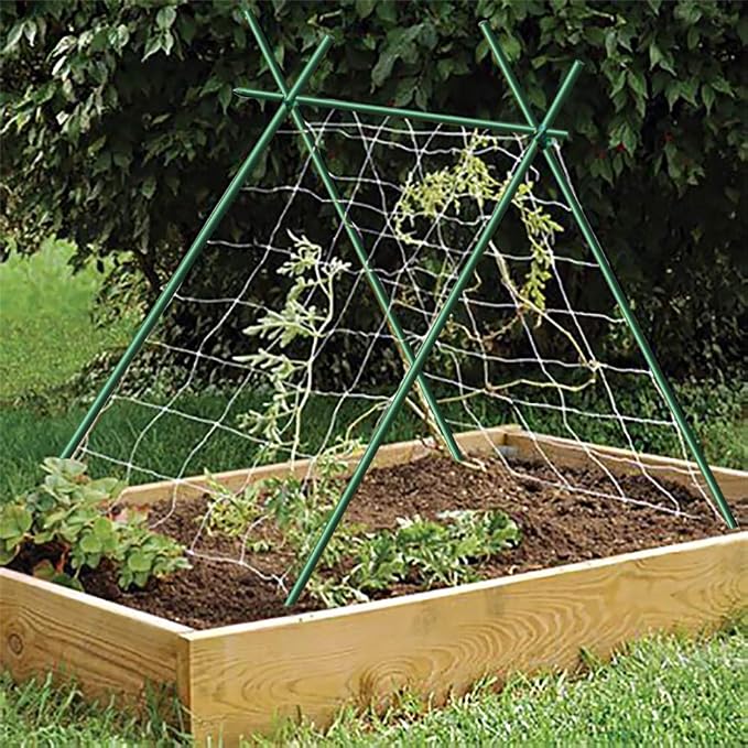 Garden Stakes 3-Ft for Climbing Plants Supports Pole 50 Pack EcoStake Rust-Free Plant Sticks Fence Post, 5/16'' Diameter
