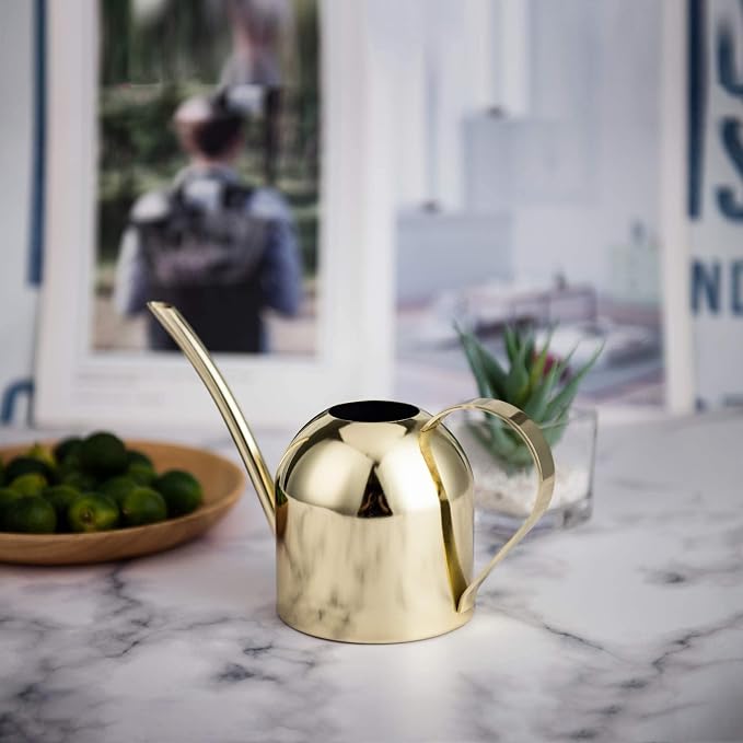 IMEEA 15oz Mini Indoor Watering Can for Small Plants Stainless Steel Watering Can with Long Spout for Desk, Windowsill & Bonsai (Gold)