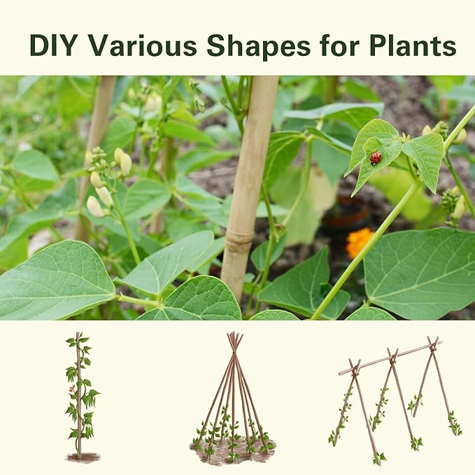 Bamboo Stakes 3FT 30pcs, 36 inch Garden Stakes Multi-Purpose, Bamboo Plant Support Stakes for Tomatoes, Beans, Peppers, Flowers, Potted, Maintain the Plant Posture, Strengthen and Stem