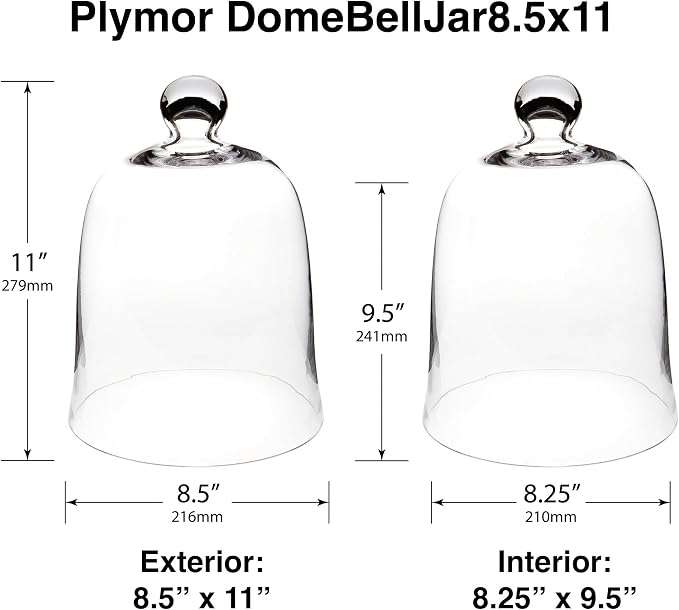 Plymor 8.5" x 11" Bell Jar Glass Display Dome Cloche (Interior Size 8.25" x 9.5")