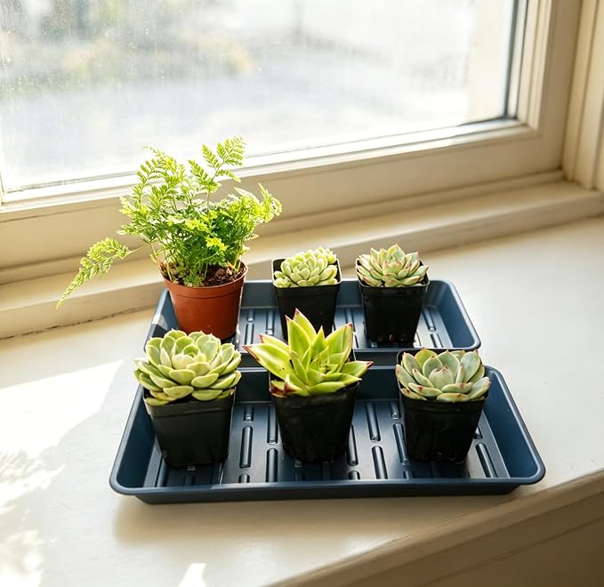 2 Pack Plastic Plant Tray Saucer Rectangular 20 21 Inch, Planter Trays Saucers Indoor Outdoor, Water Drip Tray for Flower Pot, Windowsill, 8.5 x 20.6 Inches, Blue
