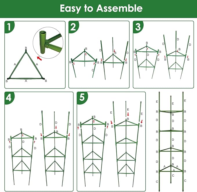 CEWOR Tomato Cage - 6 Pack Tomato Trellis, 63 Inch Extra Tall Tomato Cages for Garden, Garden Stakes Triangle Plant Stake Structures for Climbing Plants Outdoor, Pots, Raised Garden Bed, Vegetables