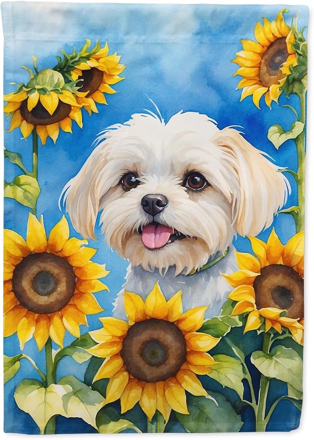 Caroline's Treasures DAC6117CHF Maltese in Sunflowers House Flag Large Porch Sleeve Pole Decorative Outside Yard Banner Artwork Wall Hanging, Polyester, House Size, Multicolor