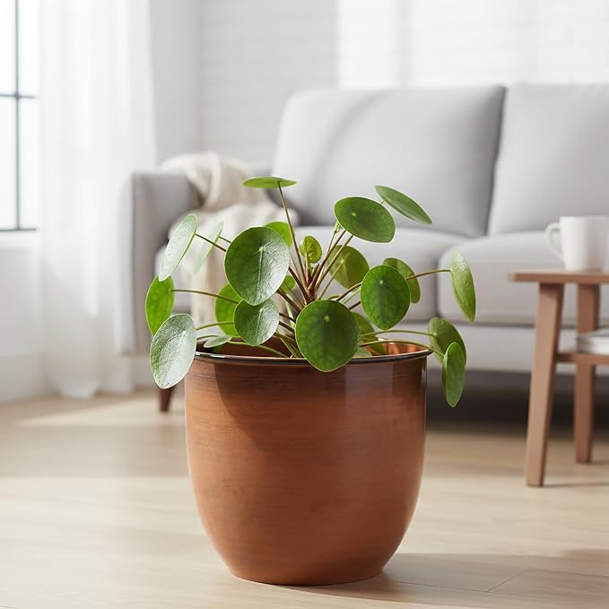 Bloem Canyon 12" Indoor Metal Cachepot - Glossy Decorative Planter with Powder-Coated Finish, Removable Drain Plug, Terra Cotta