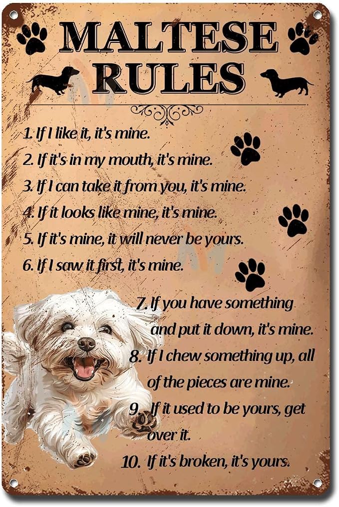 Metal Sign Tin Sign Vintage Wall Art Maltese Rules Metal Garden Sign for Restaurant 6×8 Inches