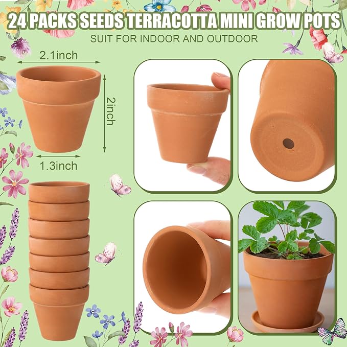 Reallnaive Baby Shower Party Favors Baby in Bloom Envelopes Seed Packets Include 24 Mini Terracotta Pots Seed Packets 24 Self Adhesive Envelopes Thank You Tags Gifts for Party(Wildflower)